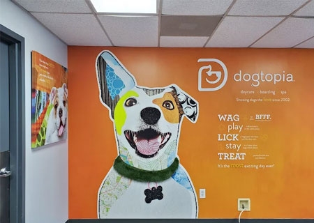 Wall Graphics thumb